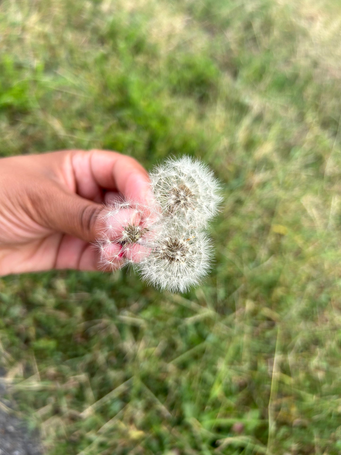 Necklace Make a Wish