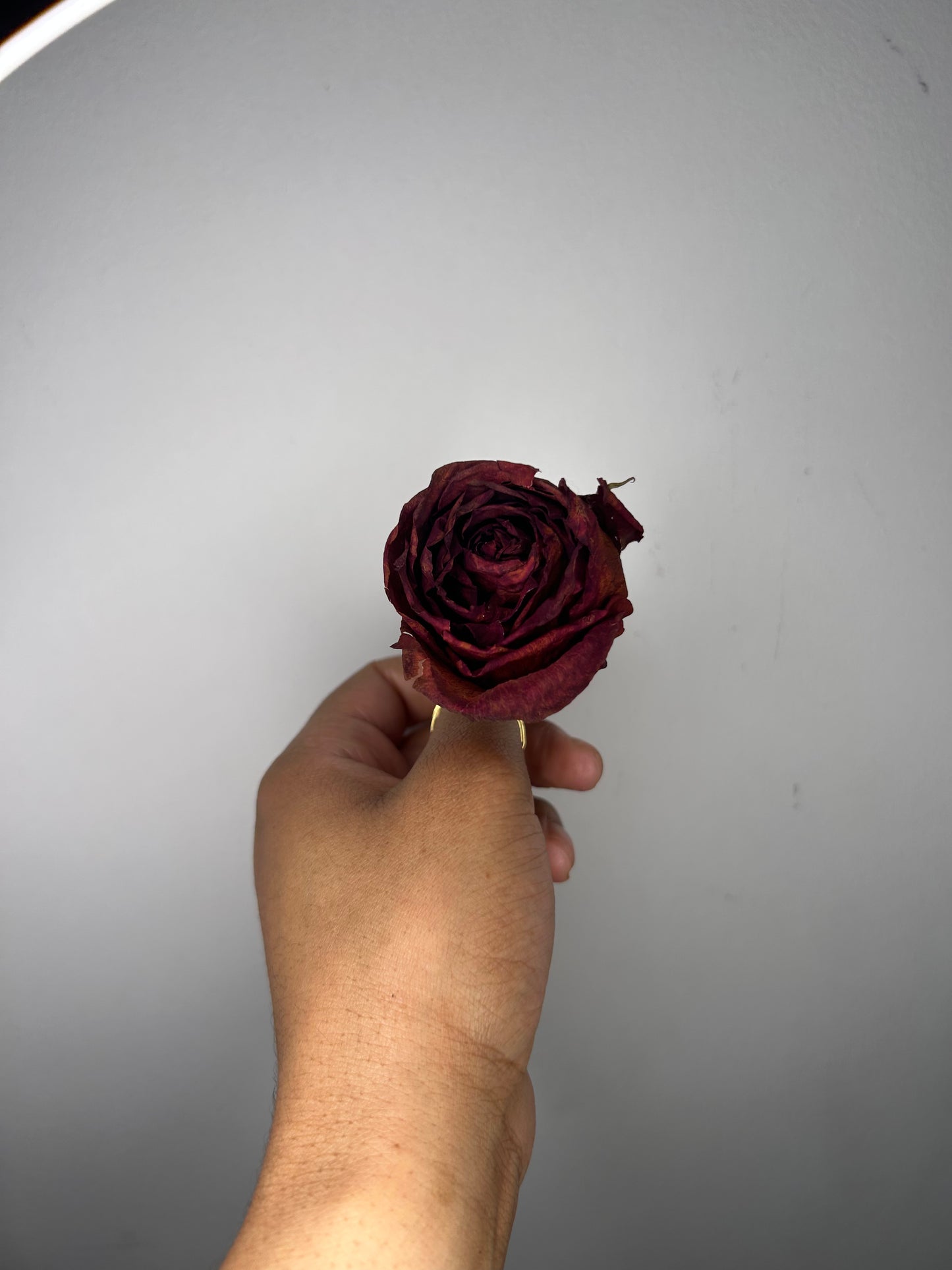 Ring- Rose