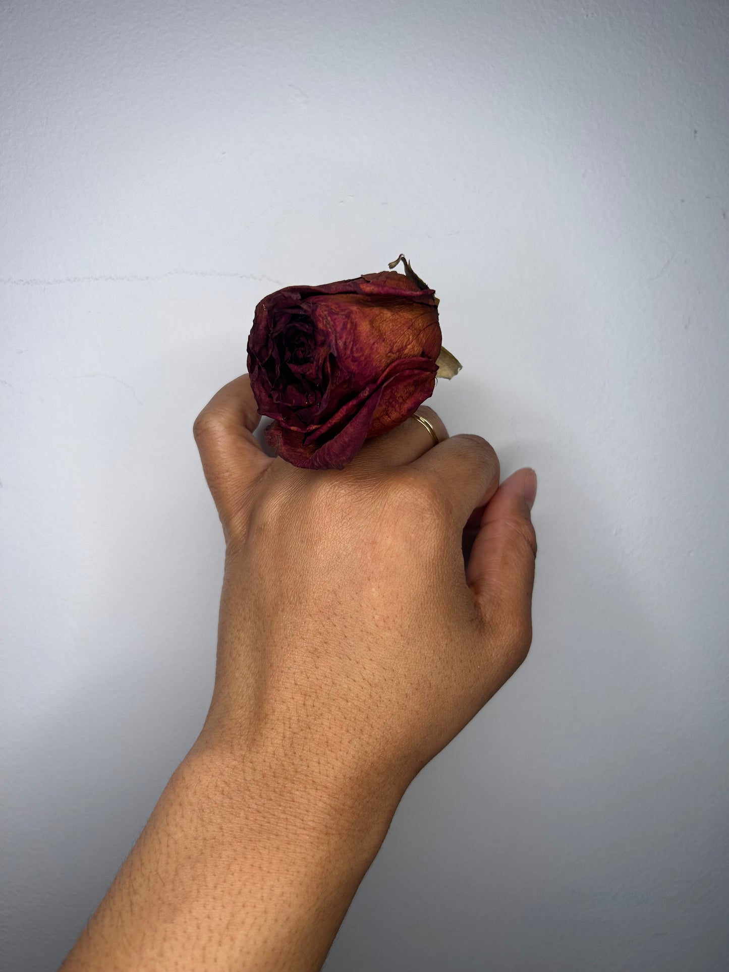 Ring- Rose