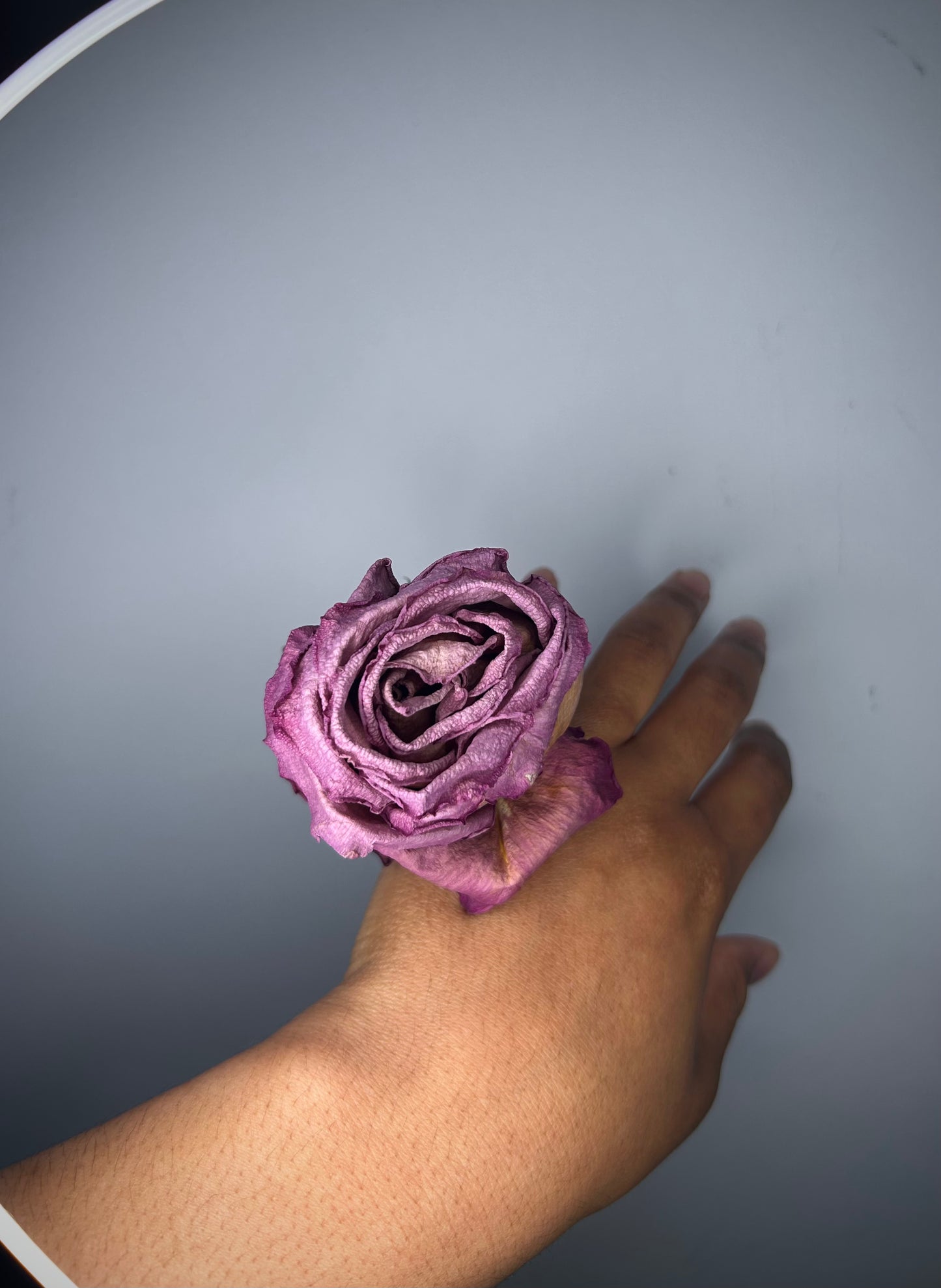 Ring Roses