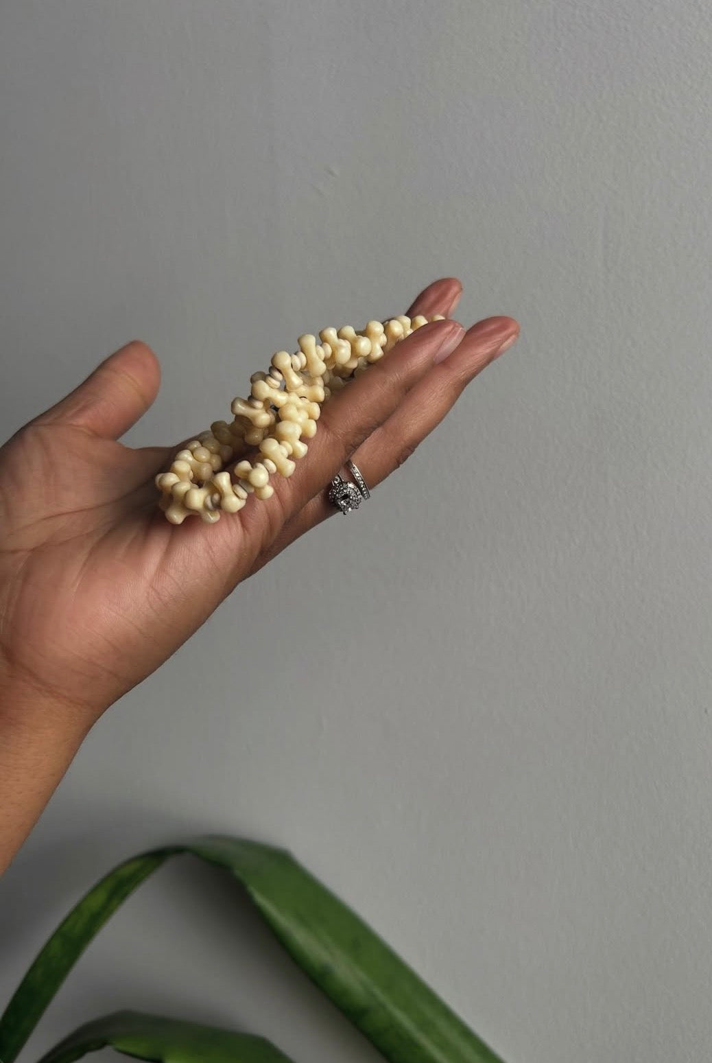 Necklace Anatomy(ivory)