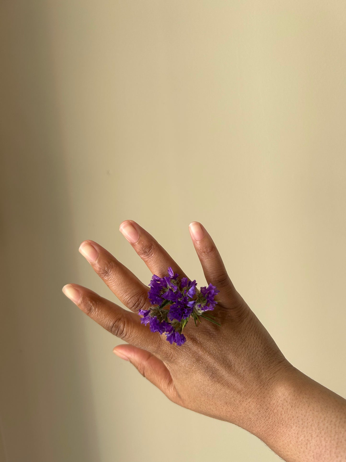Ring- Purple